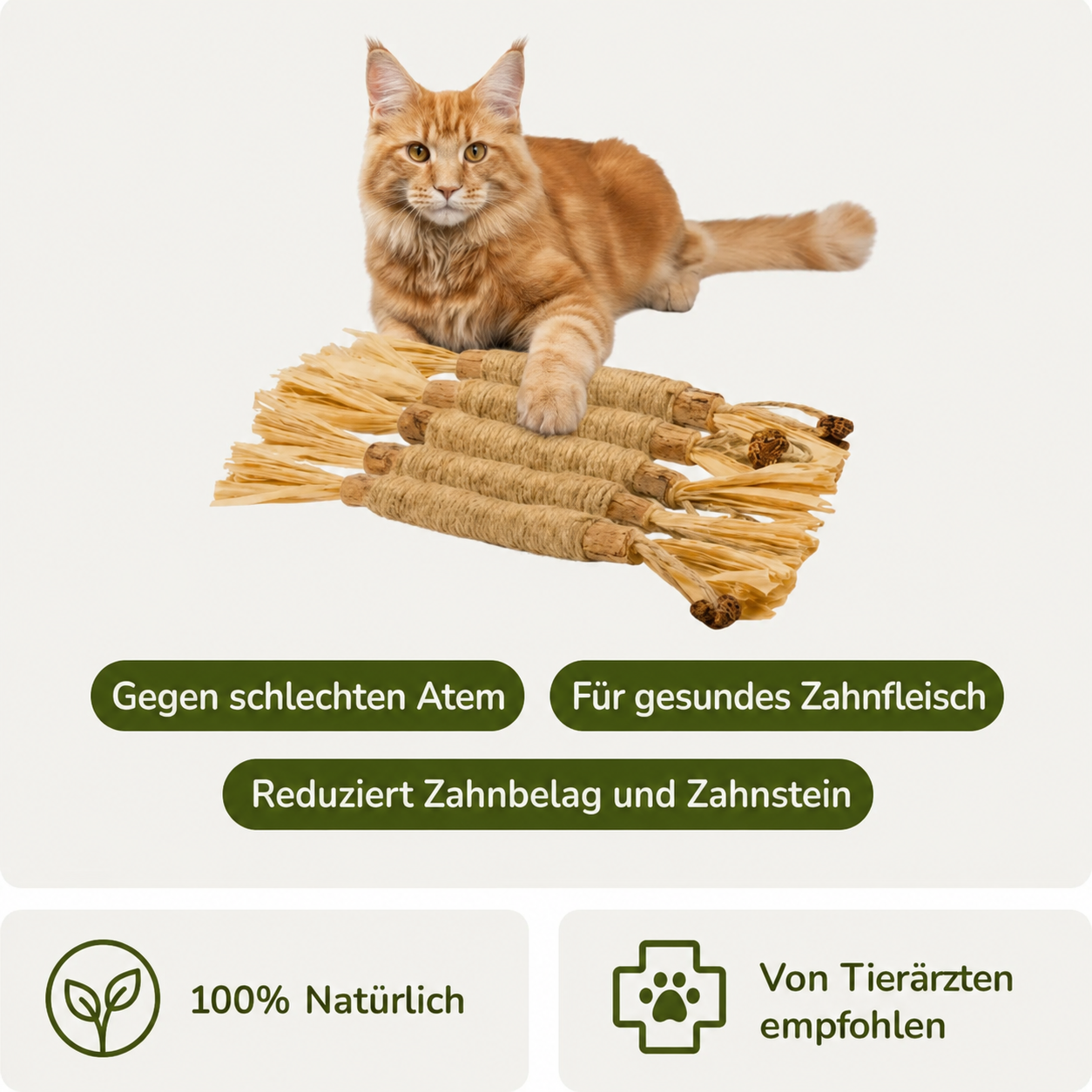 Nordrix Silberreben-Kaustangen für Katzen