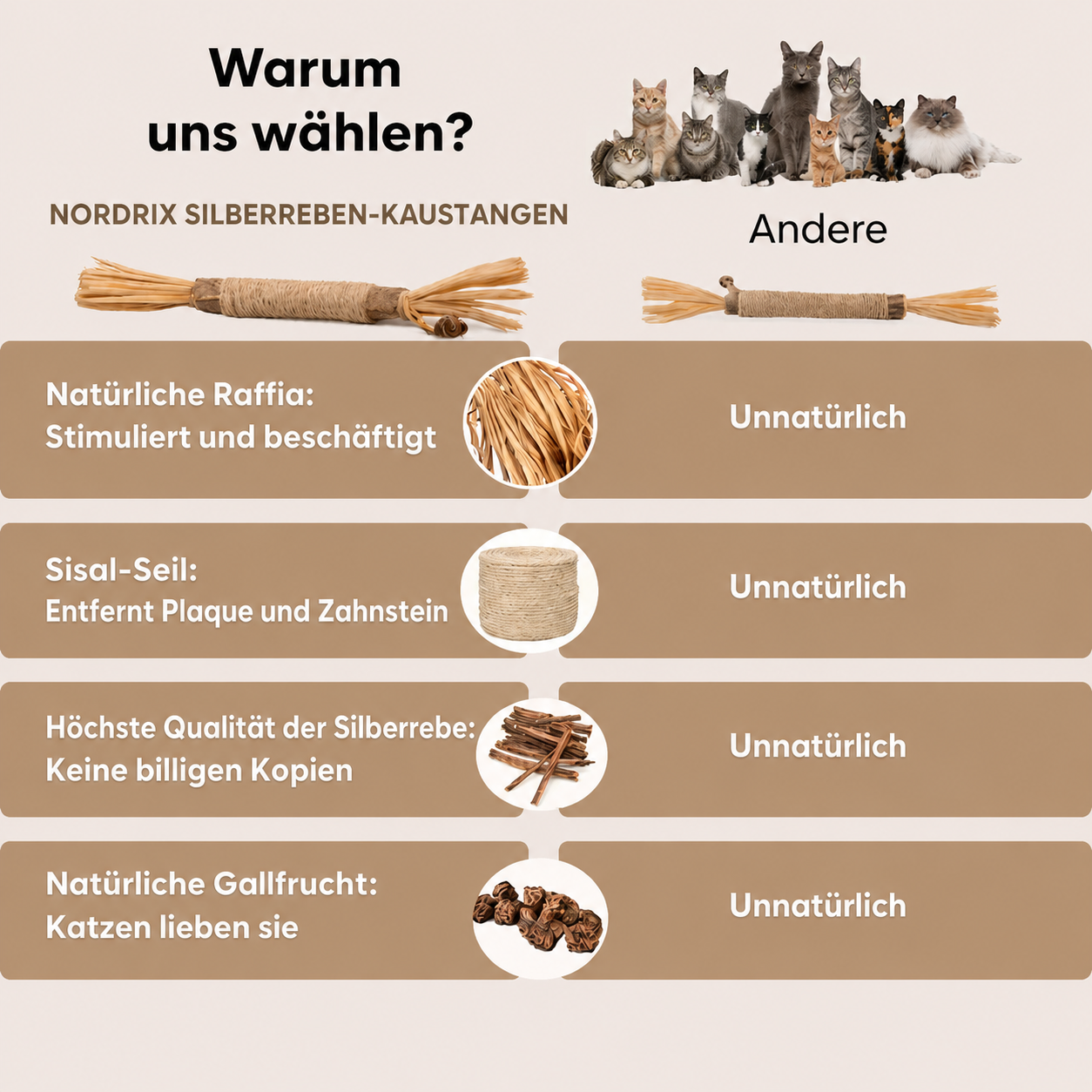 Nordrix Silberreben-Kaustangen für Katzen