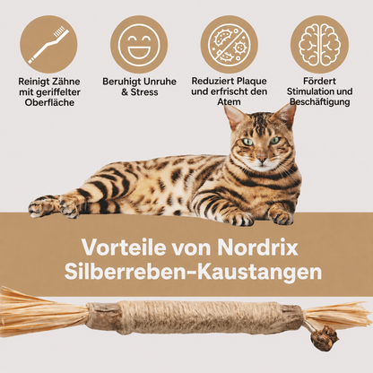 Nordrix Silberreben-Kaustangen für Katzen
