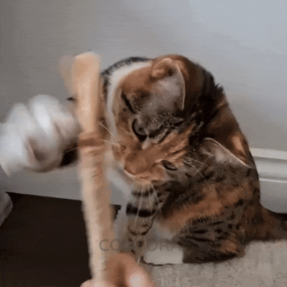 Nordrix Silberreben-Kaustangen für Katzen